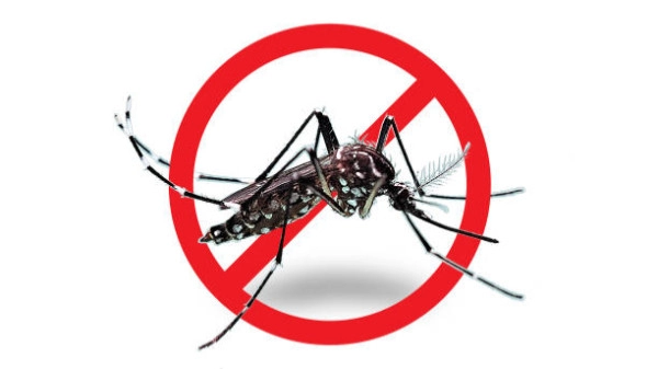 Aumentan casos de dengue en Bucaramanga